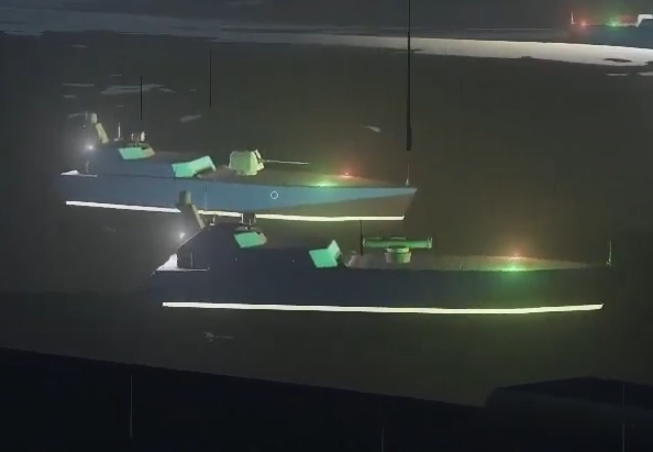 needlefish-pair.png